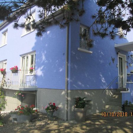 Gîte du Coq Lingolsheim Extérieur photo